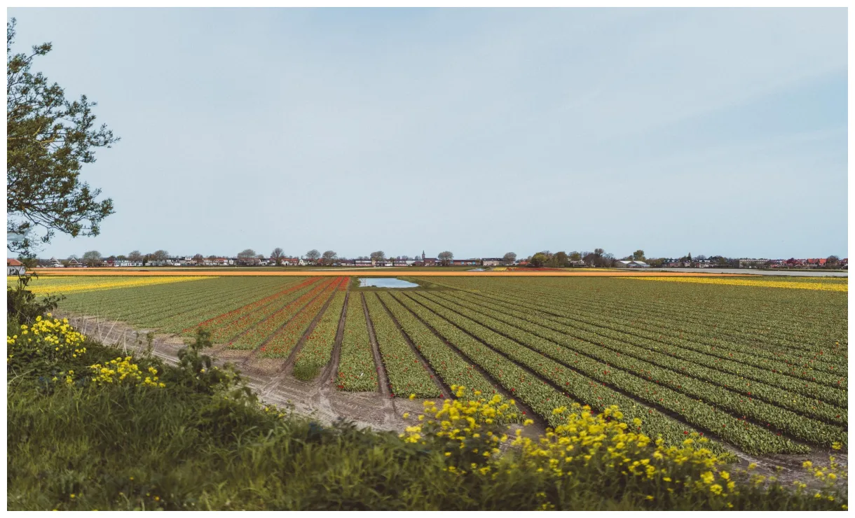 A guide to the best things to do in hillegom solosophie