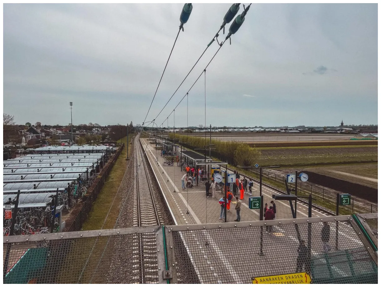 A guide to the best things to do in hillegom solosophie