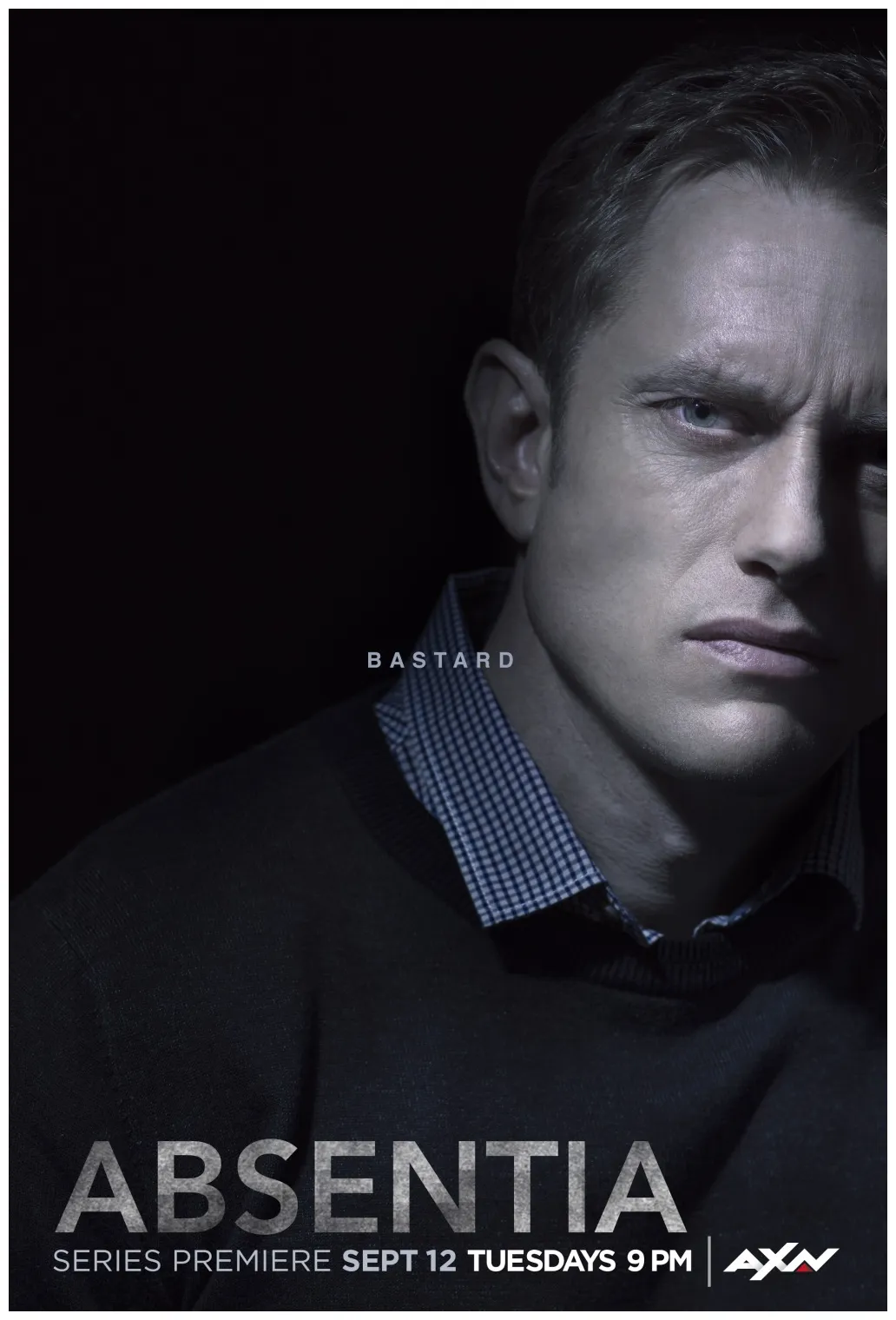 #3 of 11 extra large tv poster imp awards