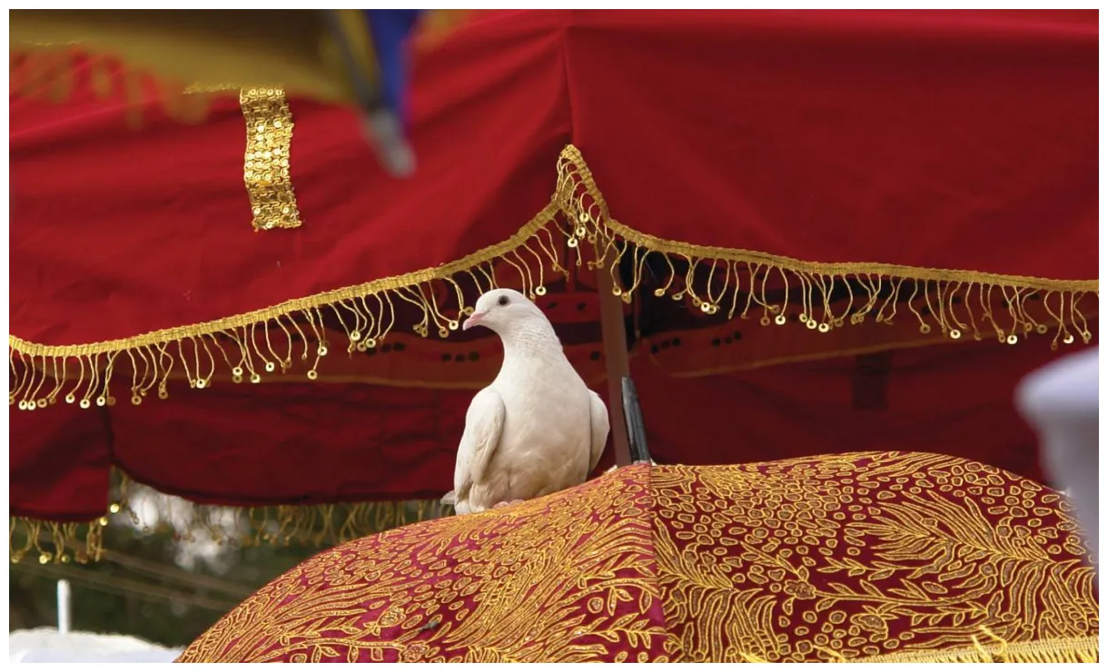 Addis-abeba 旅行和旅游指南à addis-abeba -Éthiopie petit futé