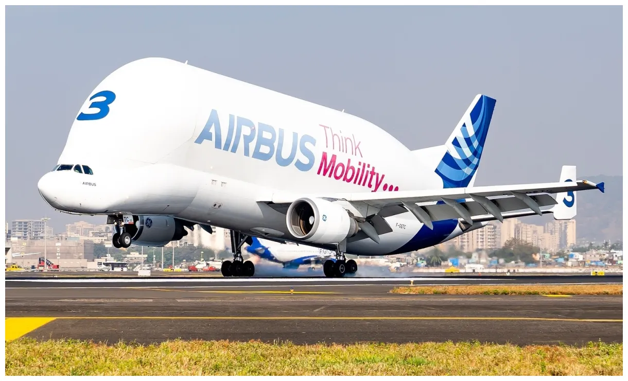 Beluga lands in mumbai 5 things to know about whale-shaped