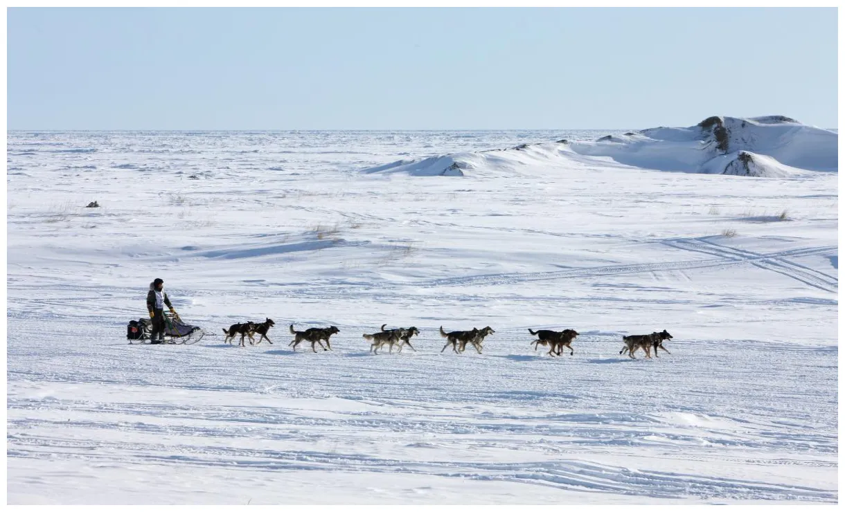 Expériences de voyage en visit the usa