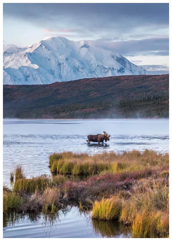 » voyage carte plan