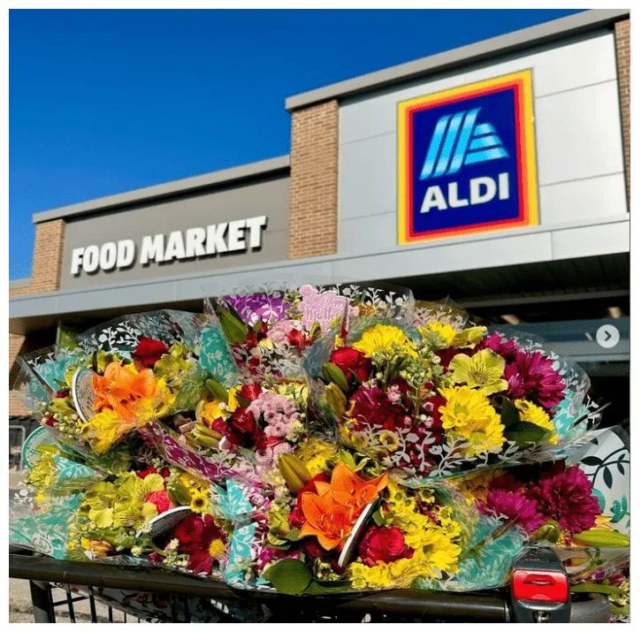 Aldi rückruf salmonellen alter & vermogen