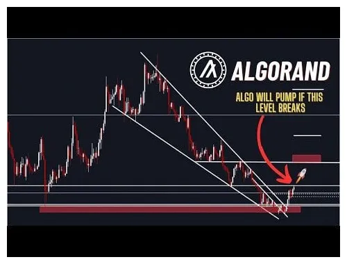 Algorand algo trading volume indicators week 2 january 2026