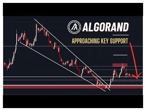Algorand algo trading volume indicators week 2 january 2026