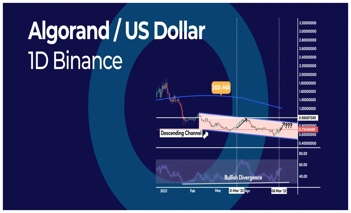 Algorand algo daily price chart week 1 january 2026