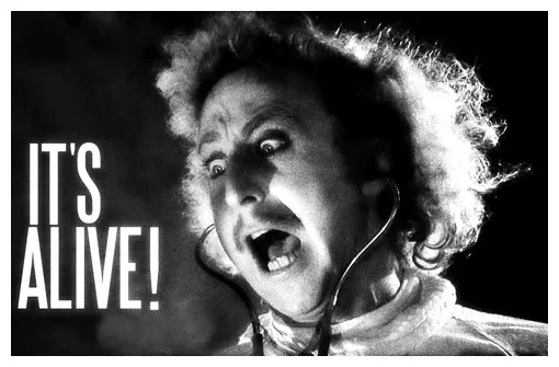 Cinema raiders it's !