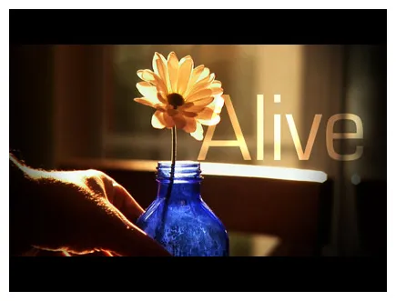 Restoration videos worshiphouse media