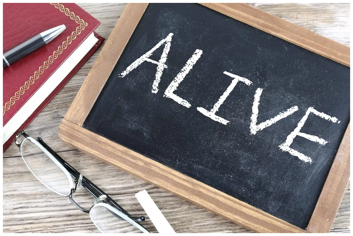 Free of charge creative commons chalkboard