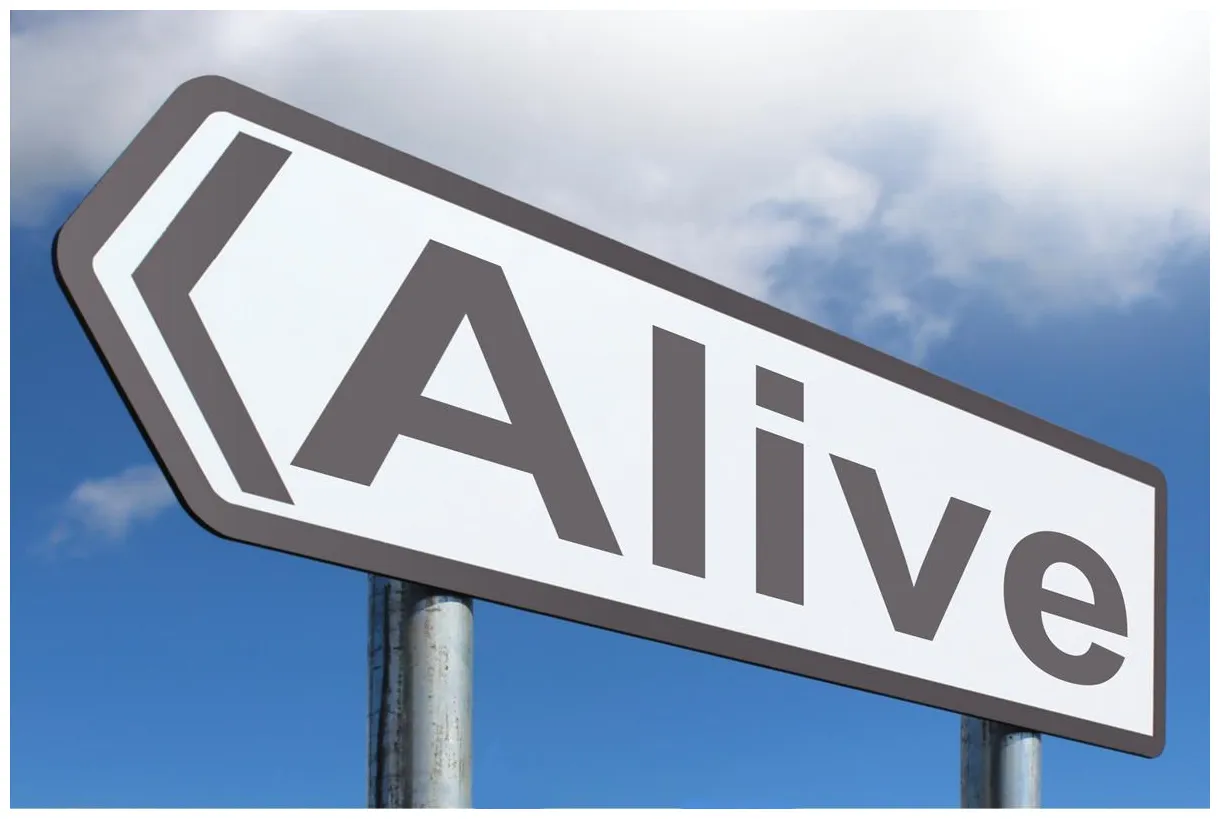 Free of charge creative commons highway sign