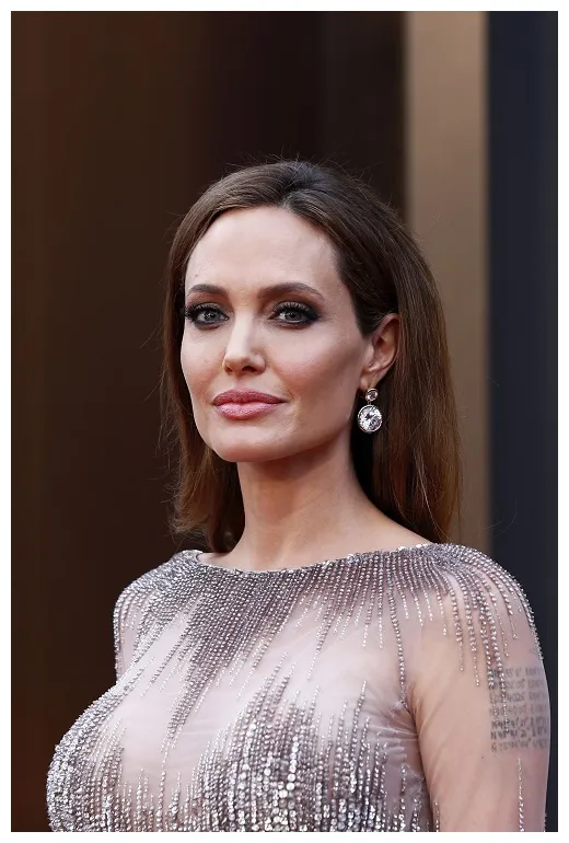 زندگینامه آنجلینا جولی بازیگر پرورش افکار