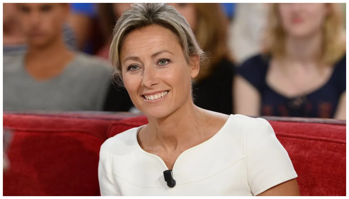 Qui est anne-sophie lapix