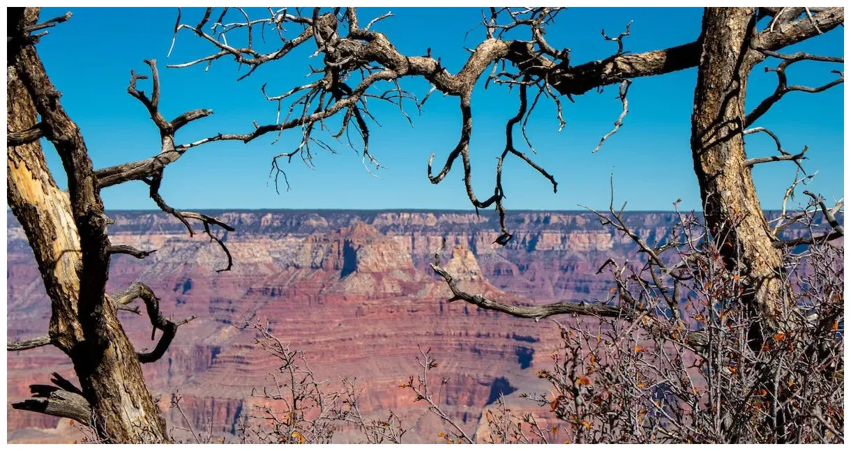 Colorado vs arizona a detailed comparison of living in the two states