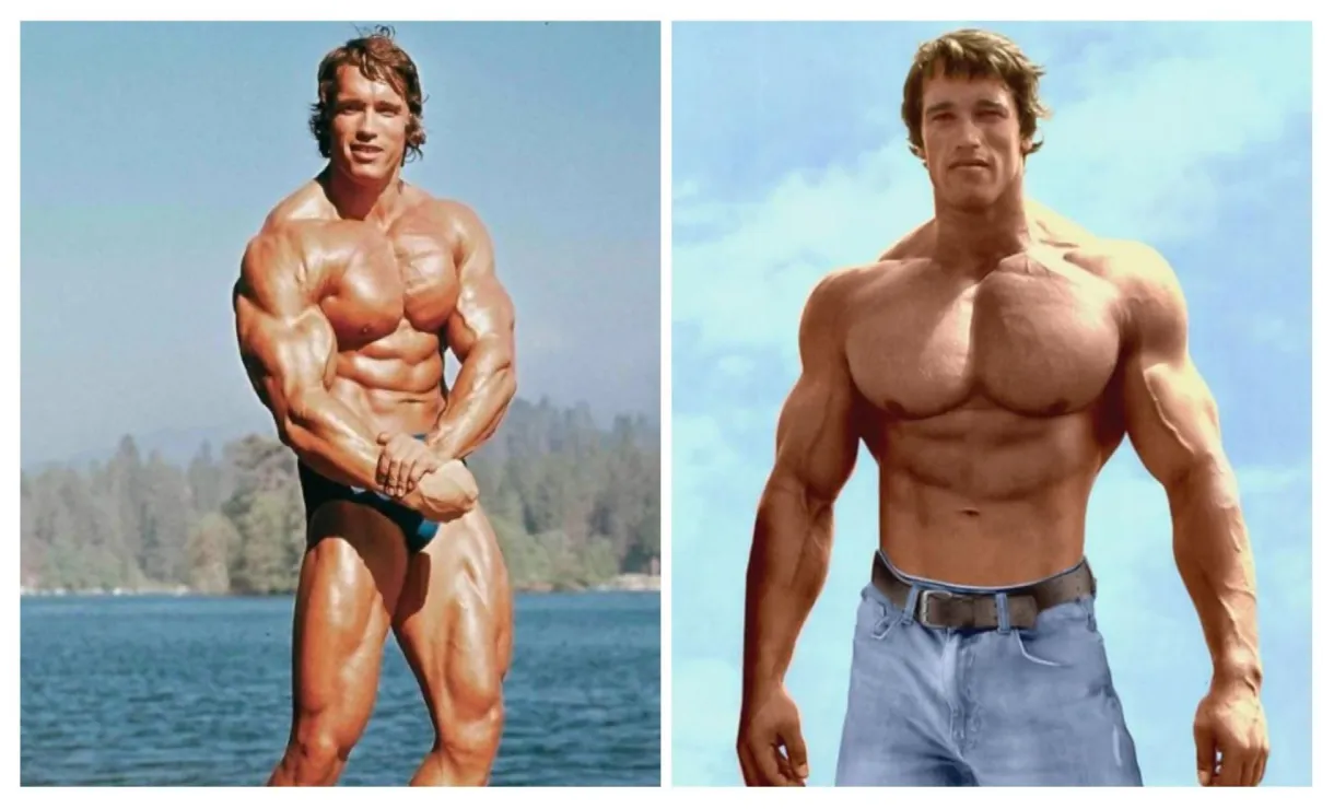 Arnold schwarzenegger