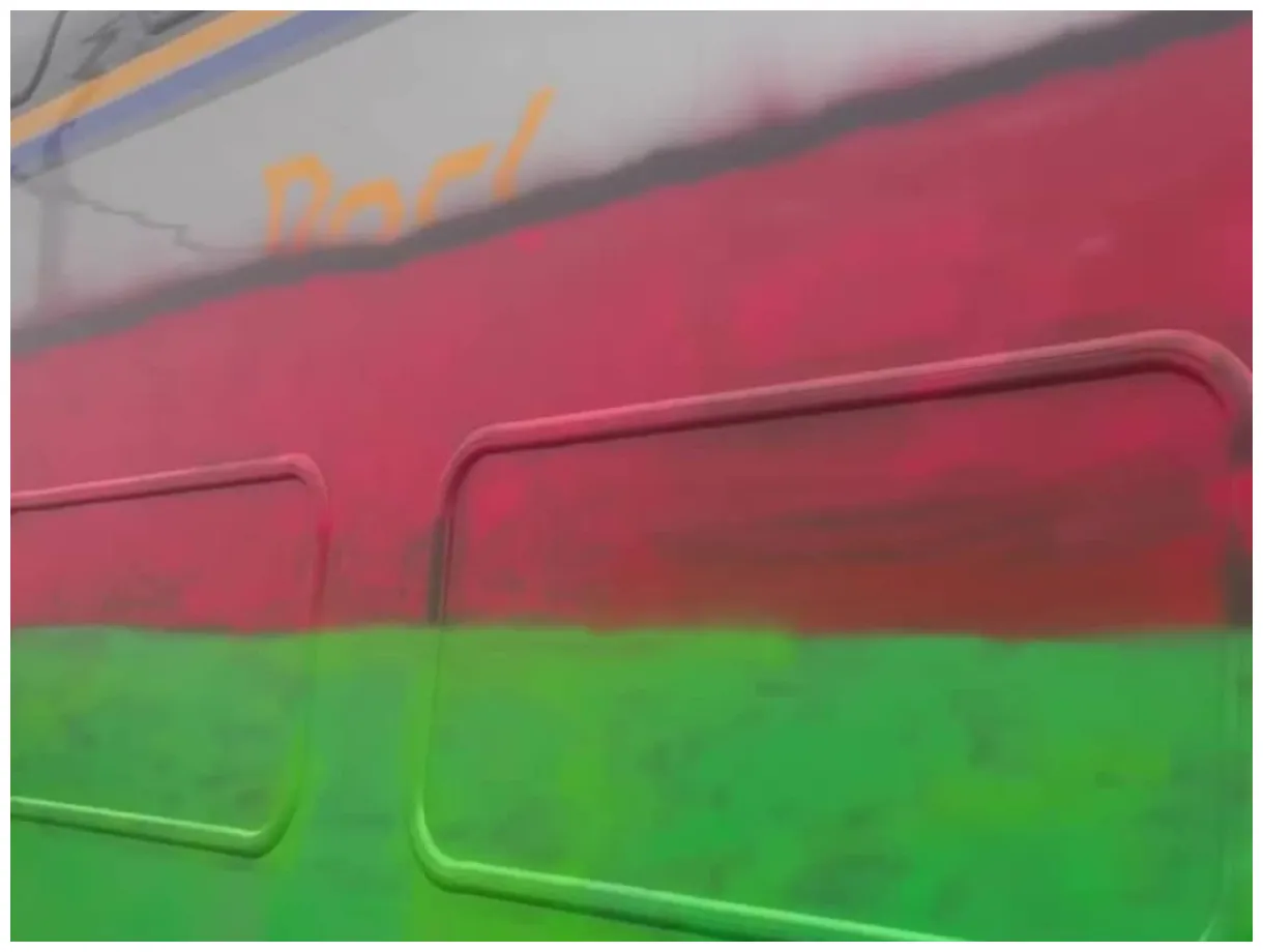 Video assalto alla stazione di torino da parte dei pro palestina il