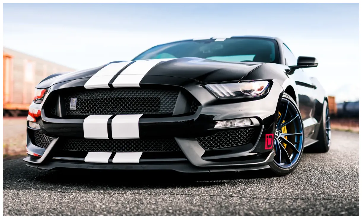 Wallpaper Mustang, Ford, Shelby, GT350, Ford Mustang Shelby GT350