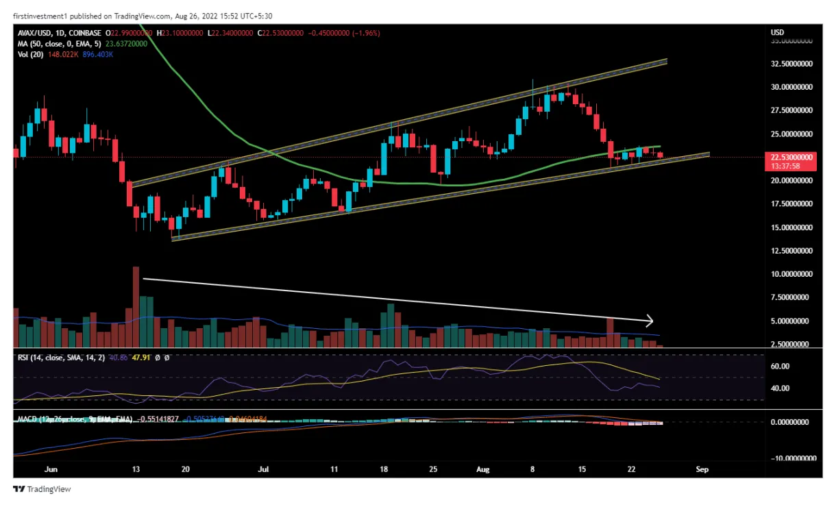 Avalanche avax daily price chart week 2 january 2026