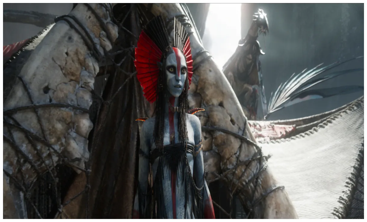 Se couvrir de cendres dans l'espoir de renaître