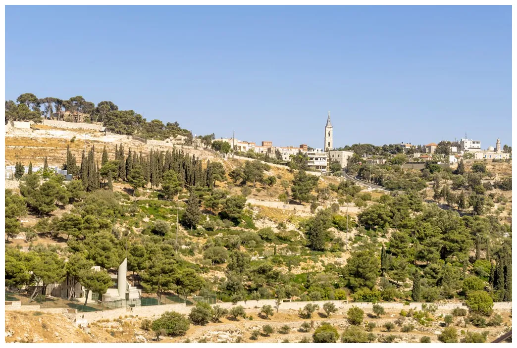 Pictures gallery of high-quality collection