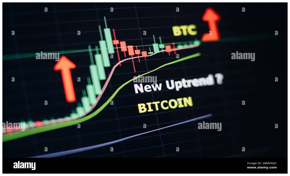 Bitcoin btc market trend analysis week 1 january 2026