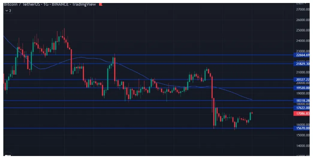 Bitcoin btc daily price chart week 1 january 2026
