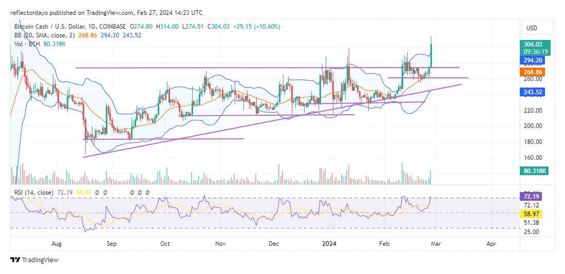 Bitcoin cash bch historical performance graph week 1 january 2026