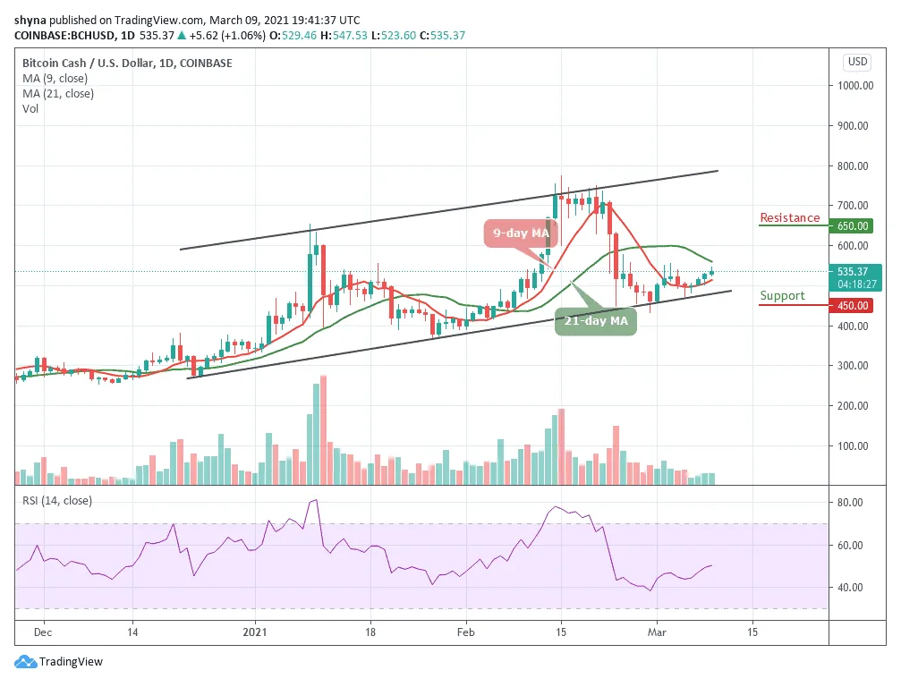 Bitcoin cash bch historical performance graph week 1 january 2026