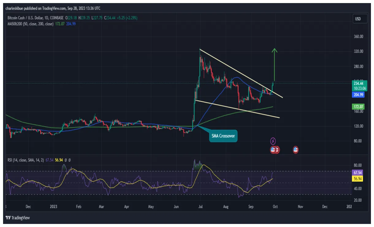 Bitcoin cash bch historical performance graph week 2 january 2026
