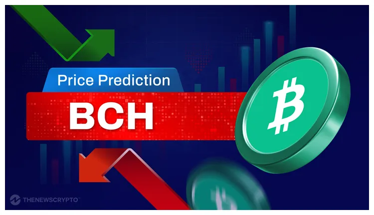 Bitcoin cash bch historical performance graph week 2 january 2026