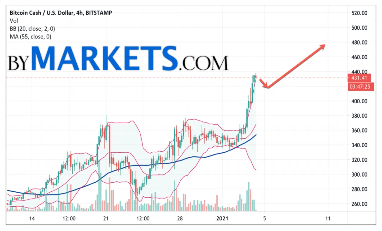 Bitcoin cash bch historical performance graph week 2 january 2026