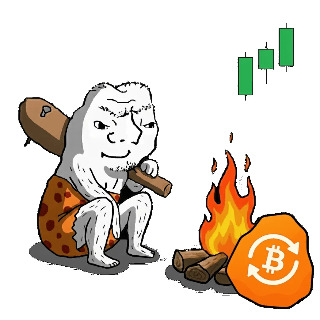 Bitcoin cash bch price fluctuation graph week 2 january 2026