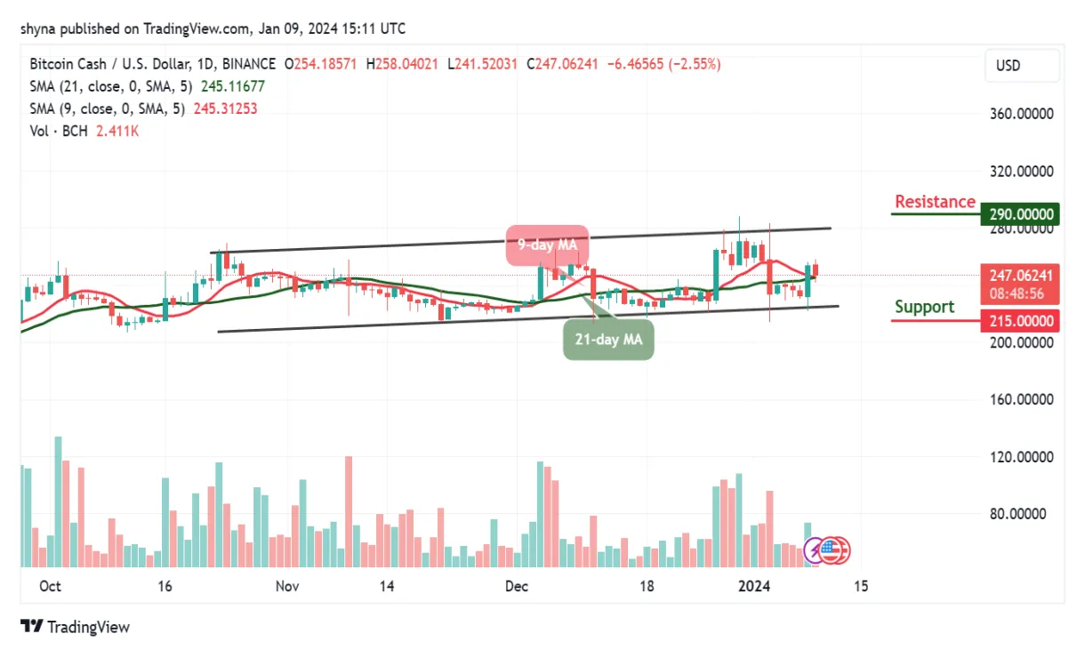 Bitcoin cash bch technical analysis chart week 1 january 2026