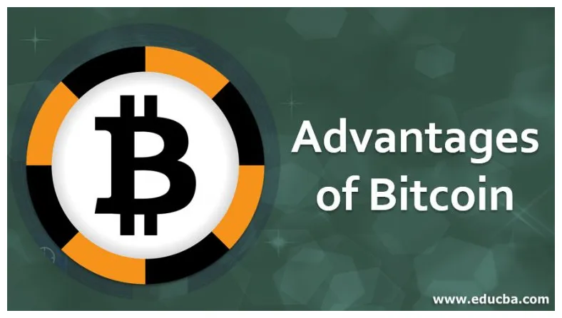 Bitcoin cash usd exchange rate history live update 2025