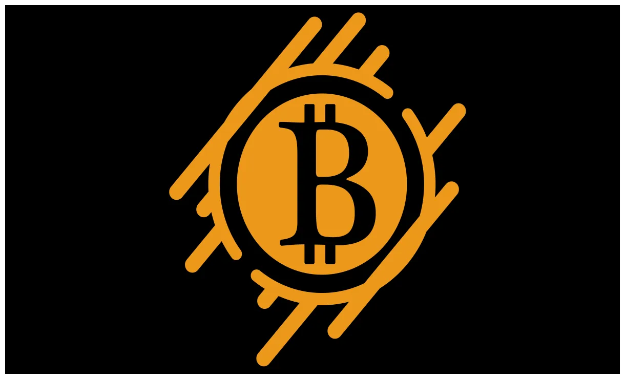 Bitcoin Logo: valor, história, PNG