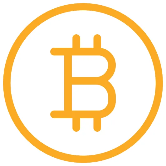 Bitcoin Generic color outline icon