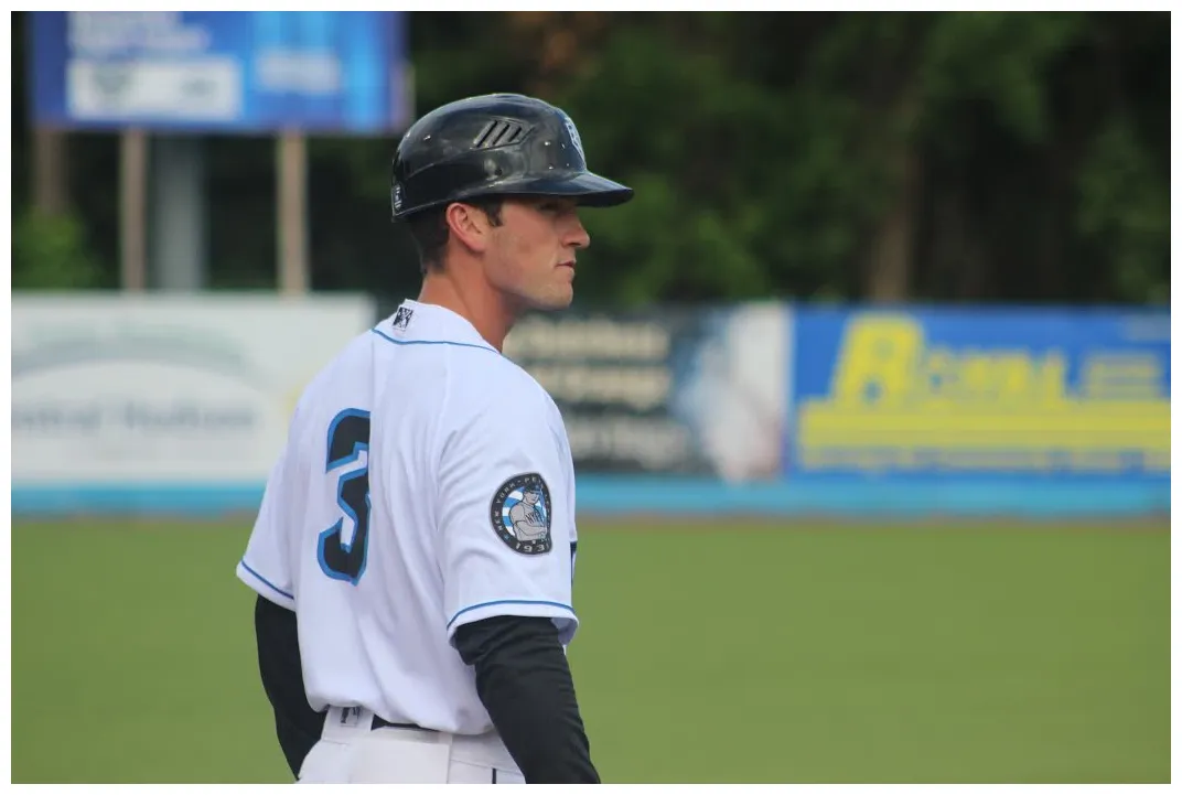 Named assistant field coordinator for tampa rays italian