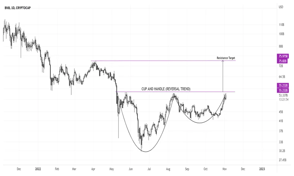 BNB (BNB) Price Fluctuation Graph - Week 2 January 2026
