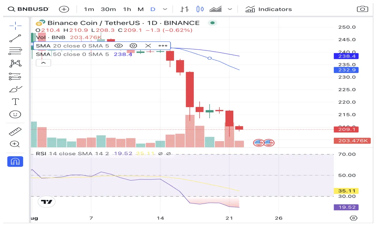 Bnb bnb market trend analysis week 2 january 2026
