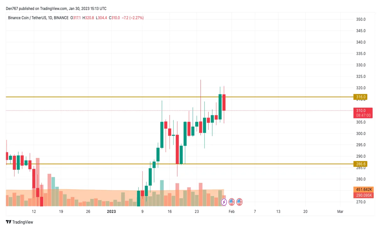 BNB (BNB) Daily Price Chart - Week 2 January 2026