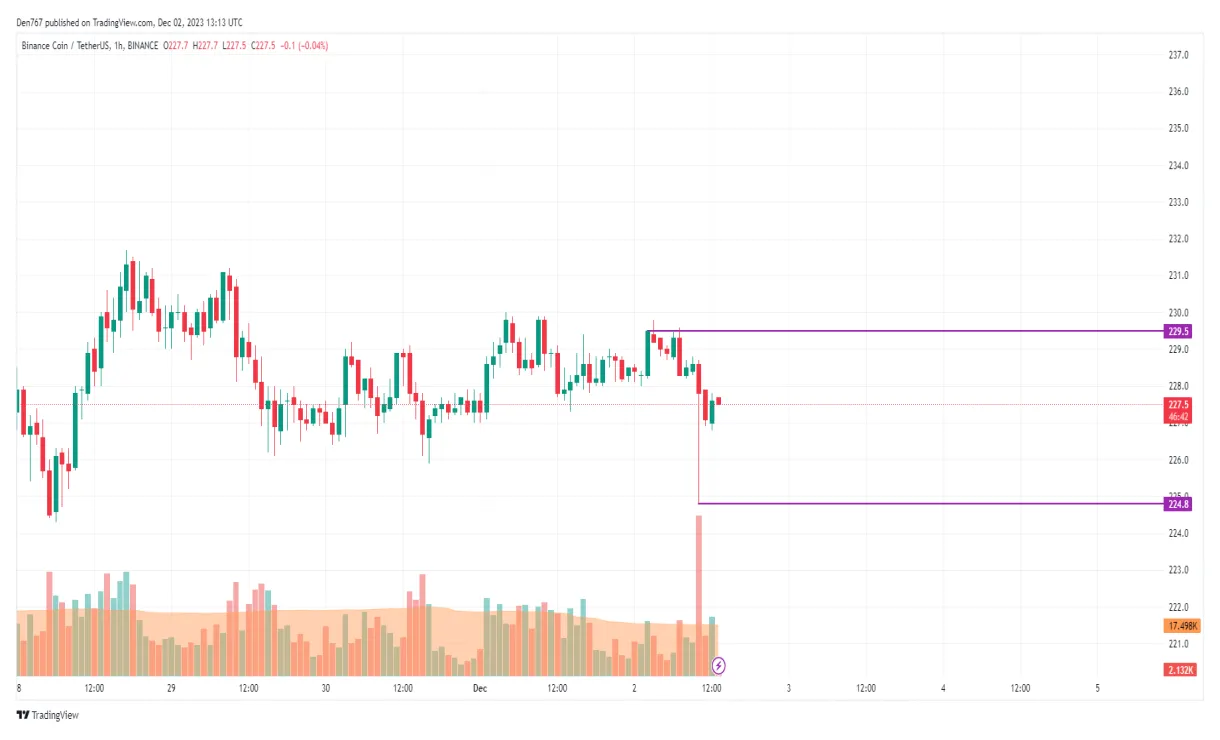 BNB (BNB) Daily Price Chart - Week 2 January 2026