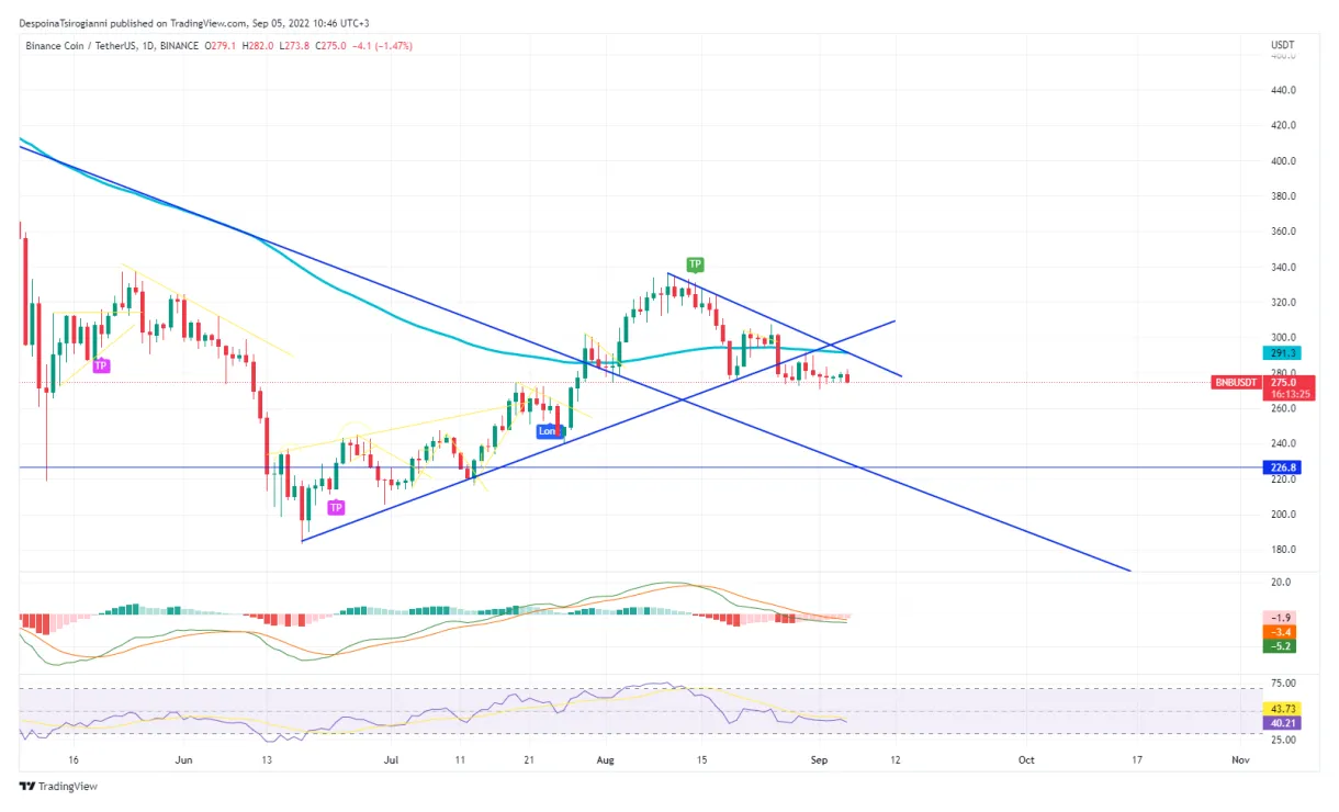 Bnb bnb trading volume indicators week 5 december 2025