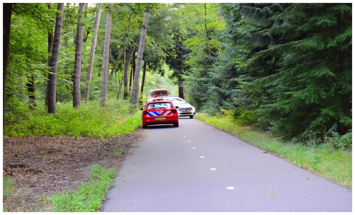 100 vierkante meter natuur verwoest vanwege brand Ede
