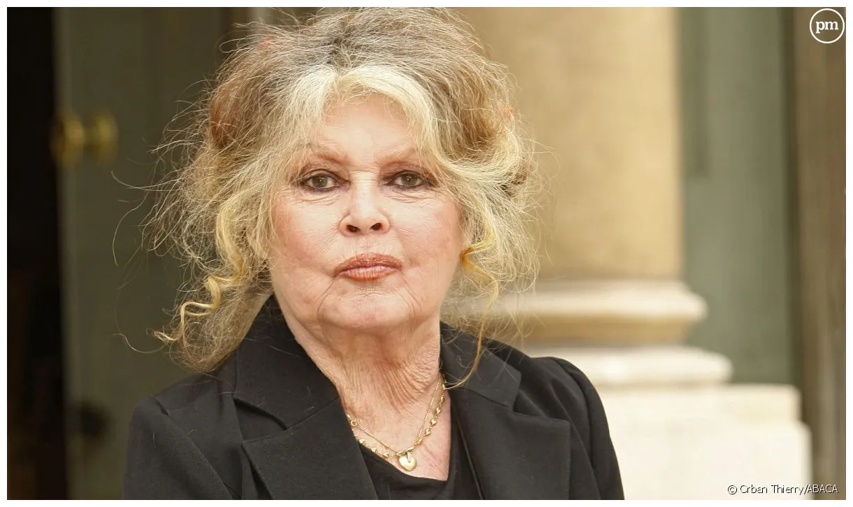 Un biopic "à la con" dézingue la future mini-série de