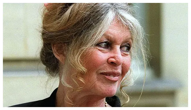 Vadim, trintignant, gainsbourg qui sont les hommes