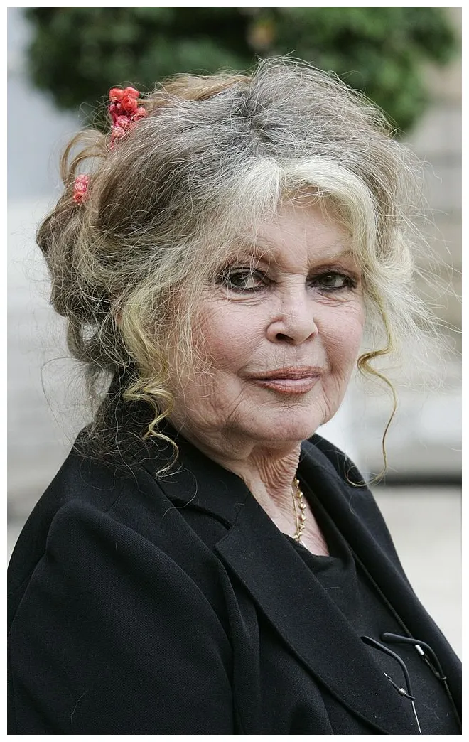 Mit 86 jahren wegen beleidigung zu geldstrafe verurteilt