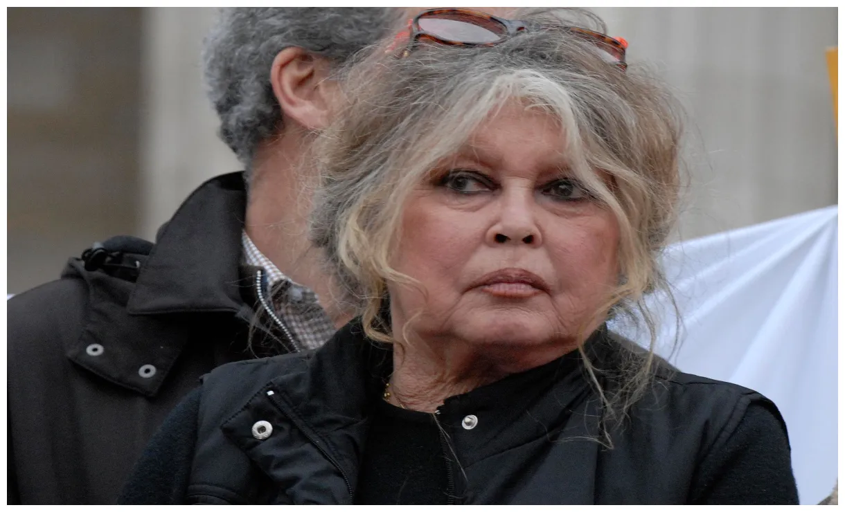 Actualités et infos vanity fair