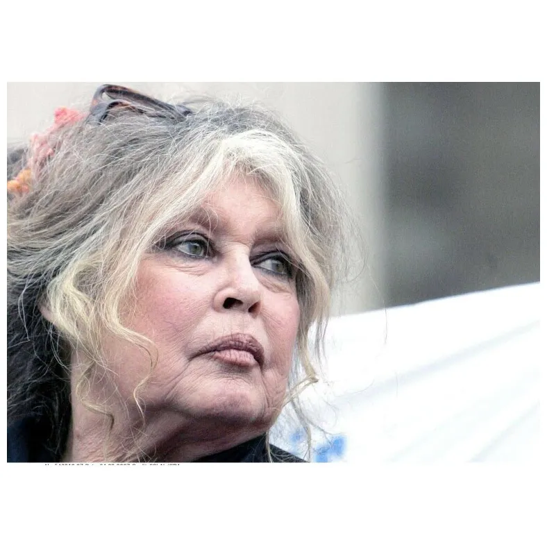 Actualités, dernières informations sur