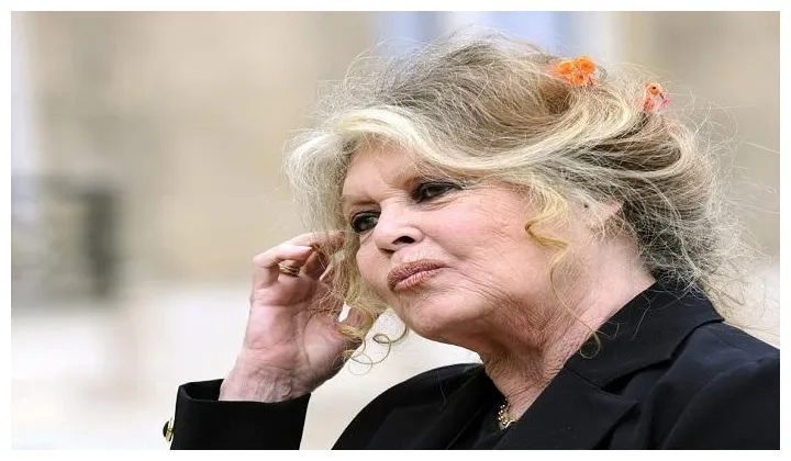 الممثلة بريجيت باردو تترشح للبرلمان الأوروبي