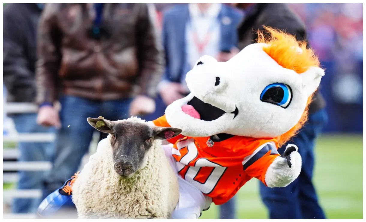 Denver Broncos: 2025 schedule announced with cute Mutton Bustin' video